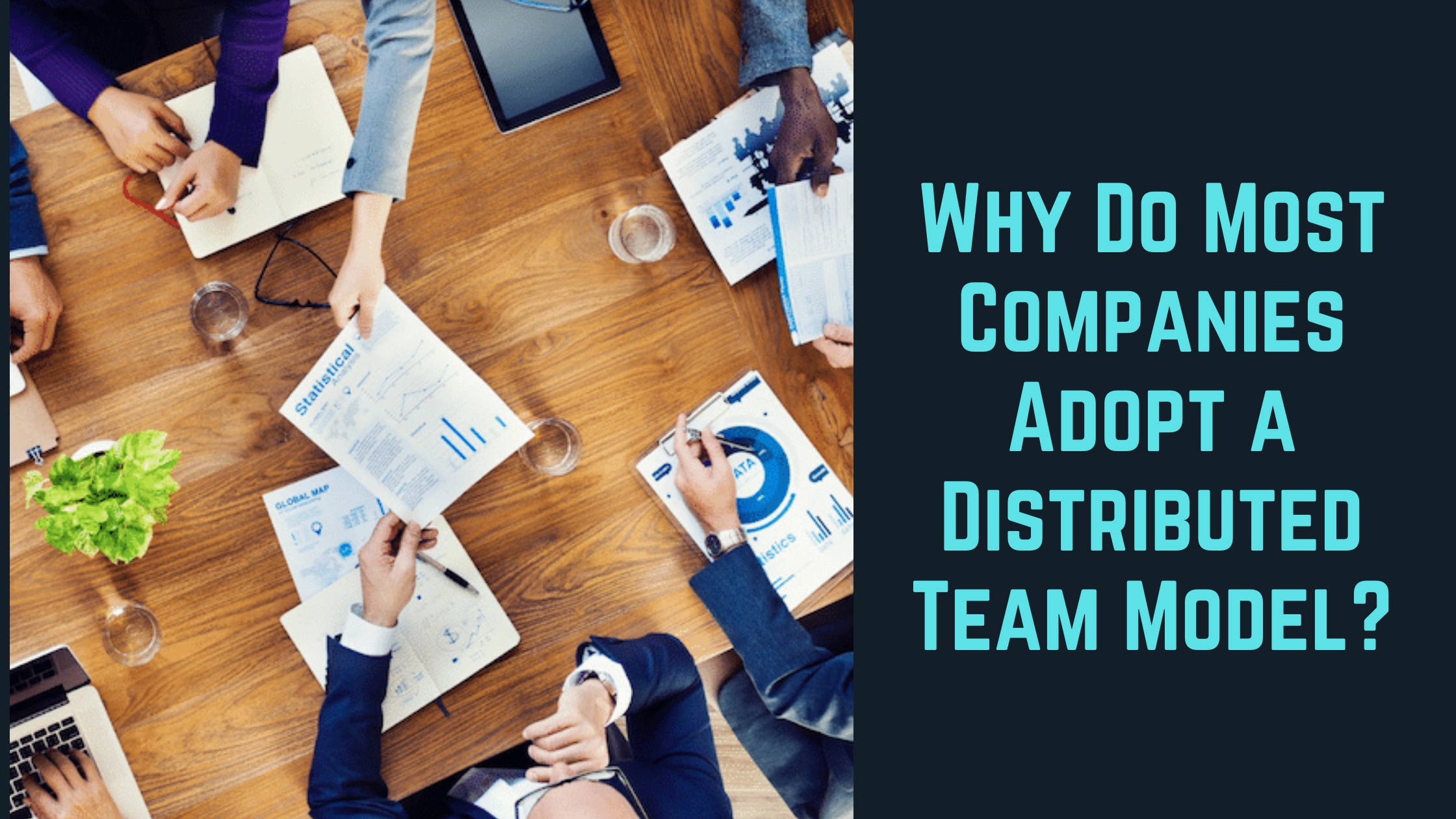 Why Do Most Companies Adopt a Distributed Team Model?