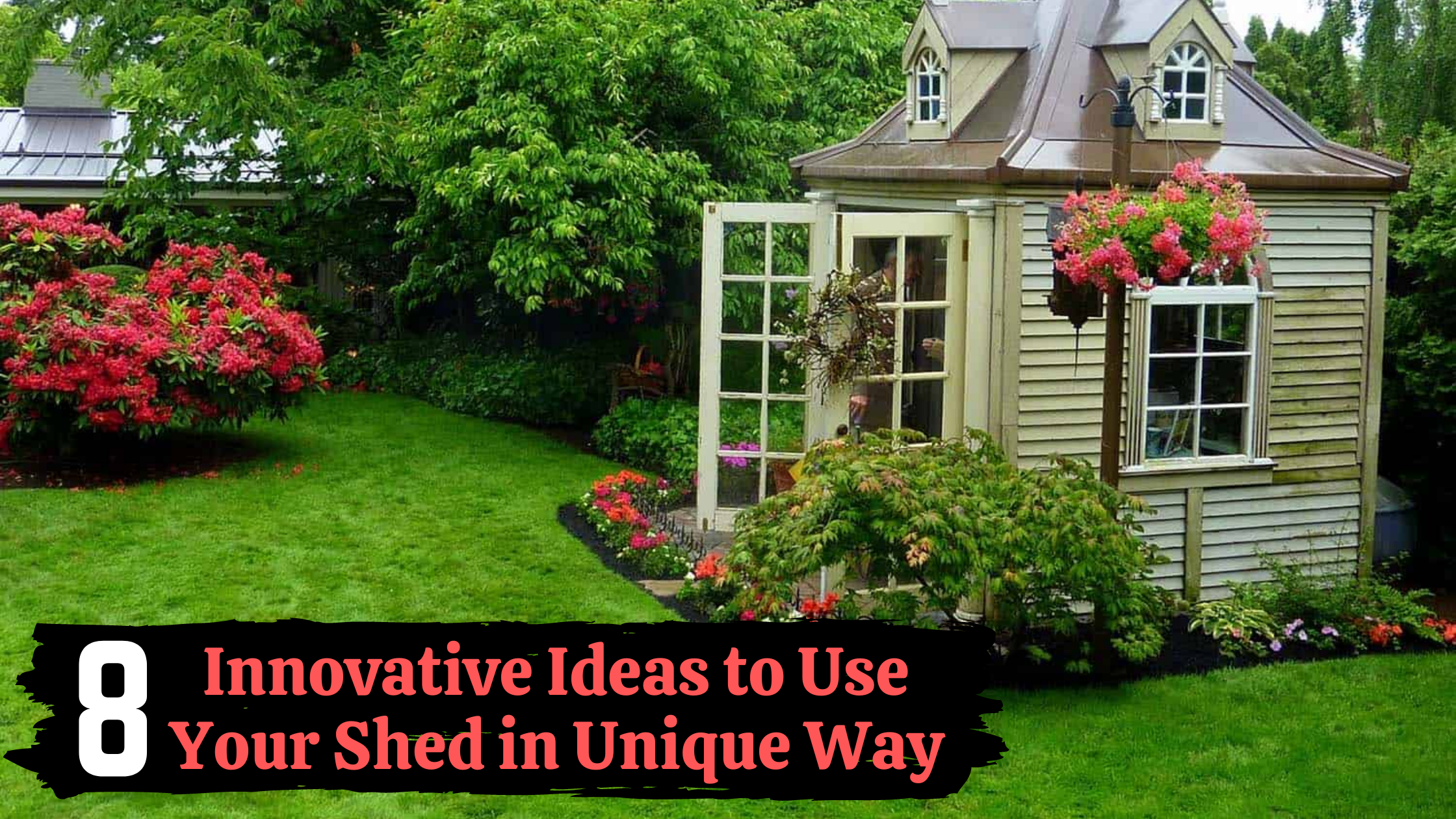 8 Innovative Ideas to Use Your Shed in Unique Way