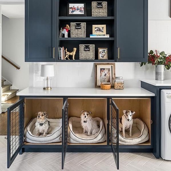 Ideas for Designing and Organizing a Dog Room