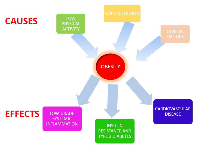 Most Common Causes and Types of Obesity