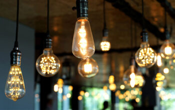 IN ORDER TO CONSERVE ENERGETIC SYNONYM, WHAT ARE THE BEST WAYS TO CHOOSE ENERGY-EFFICIENT LIGHT BULBS?