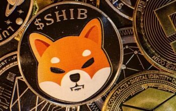 Shiba Inu: Some Essential Things to Know About This Cryptocurrency