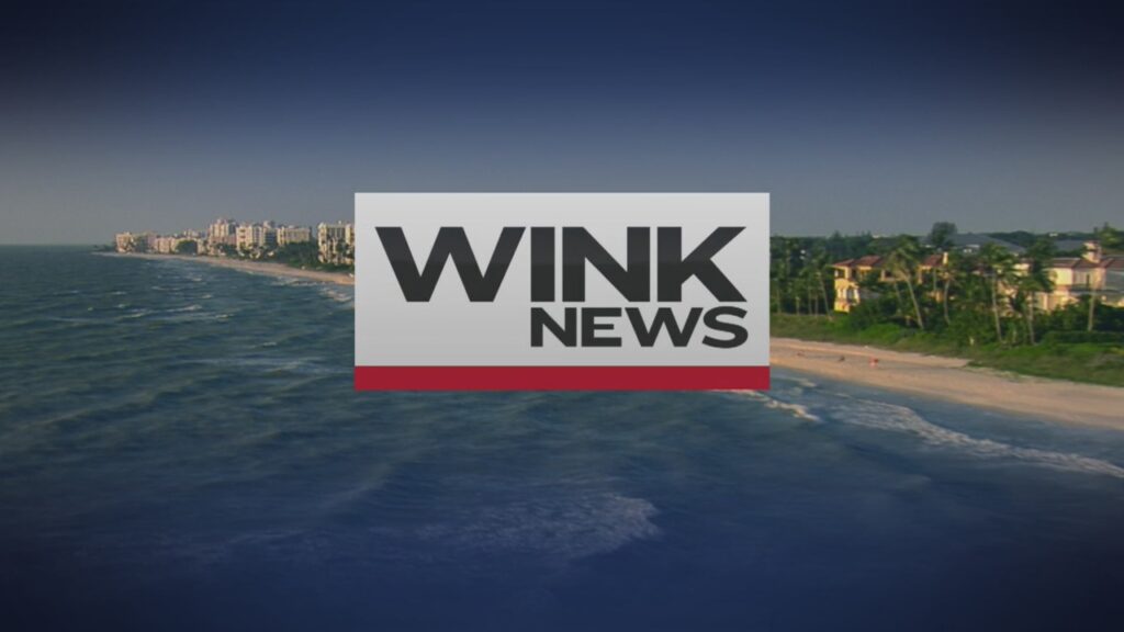 A Closer Look at Wink News