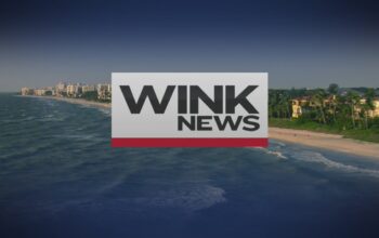 A Closer Look at Wink News