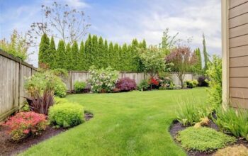 Importance of landscaping your yard